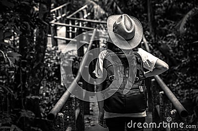 Black and white photo of Asian woman tourist with hat and backpack standing and start walking on nature trail bridge in evergreen Stock Photo