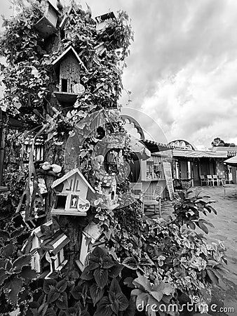 Black and white photo of a beautiful and lovely bird's houses tree Stock Photo