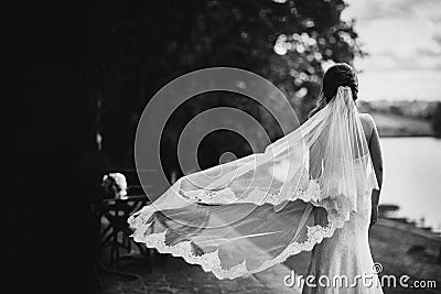 Black and white photo. elegant bride in white dress posing. Bride portrait wedding Stock Photo