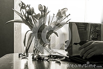 Black and white photo: a faded bouquet in a vase, hands flipping through an old photo album. Stock Photo