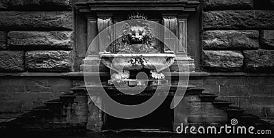 Black and white photo of a Florence lion fountain Stock Photo