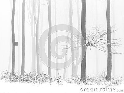 Black and white photo - leaves in winter snowy forest, birdhouse on tree, fog Stock Photo