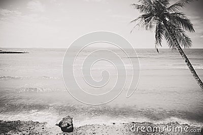 Black and white photo of tropical seaside seascape in summer Stock Photo