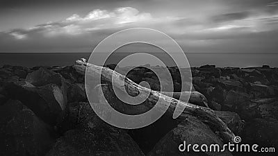 Black and white photograph of an abstract monochrome seascape with a trunk atop a rocky shore Stock Photo