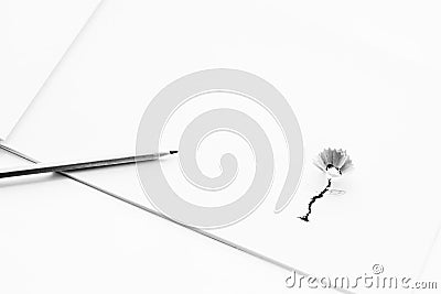 Black and white photography. Beautiful little flower made of pencil shavings on white landscape paper Stock Photo