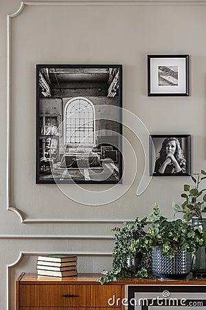 Black and white pictures on grey wall with molding above green plants in glass vase Stock Photo