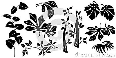 Black and white Plants silhouettes collection for designers Vector Illustration