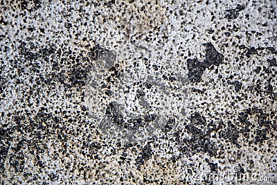 Black and white porous granular stone. rough surface texture Stock Photo