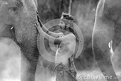 Black and white portrait Young elephant grope Holding a hook with his elephant Stock Photo