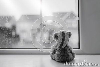 Black and white Rear view Lonely bear doll sitting alone looking out of window, Sad teddy bear sitting next to window in rainy day Stock Photo