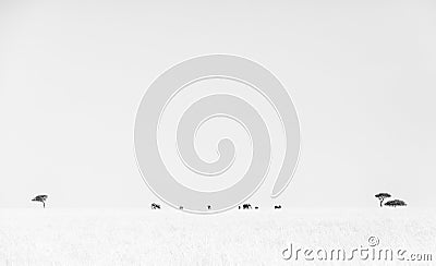 Black and white rendition of Elephant Herd in the vast grasslands at Masai Mara, Kenya Stock Photo