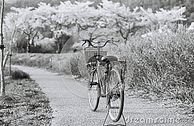 Black and white rider Stock Photo