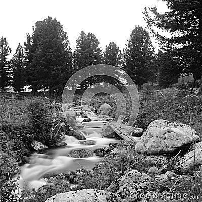 Black and white river flow Stock Photo