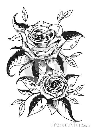 Black and white roses Vector Illustration