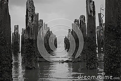 oysters on a ruined wharf Stock Photo