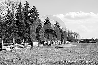 Black and white rural scene, field, wooden fence and tall pine t Stock Photo