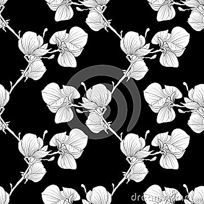 Black and white seamless background with blooming magnolia tree branches. Stock Photo