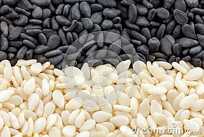 Black and white seed sesame Stock Photo