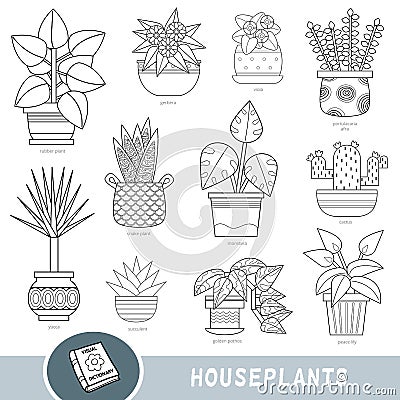 Black and white set of houseplants, collection of nature items with names in English. Cartoon visual dictionary for children about Vector Illustration