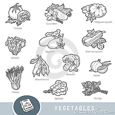 Black and white set of vegetables, collection of nature items with names in English. Cartoon visual dictionary for children about Vector Illustration