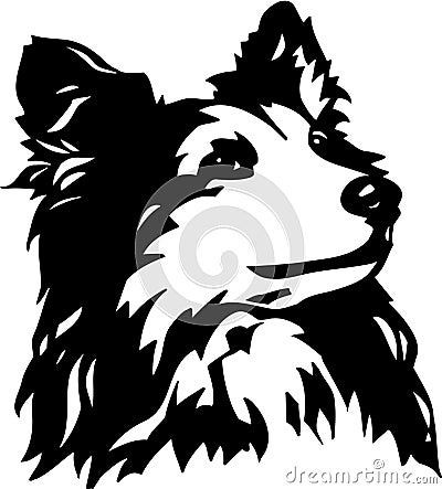 Black and White Shetland Sheepdog Illustration Vector Illustration