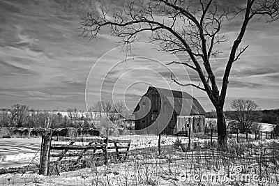 Black and white shot of midwest farm with a barn, bare tree, and fence in snow. Stock Photo