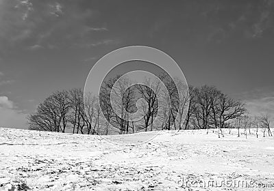 Black and white shot of snow-covered trees and hills in a winter landscape Stock Photo