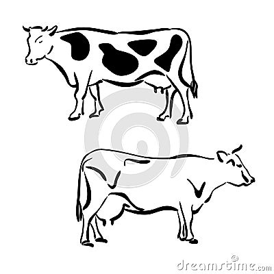 Black and white silhouettes of cows Vector Illustration