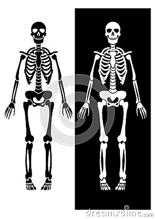 Black And White Skeleton Stock Image - Image: 3146751