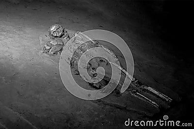 Black and white skeleton human Stock Photo