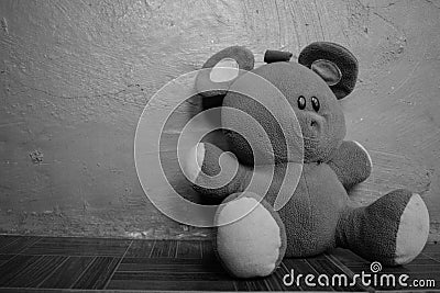  Black and White Soft Fluffy Teddy Bear Left Laying On The Floor Stock Photo