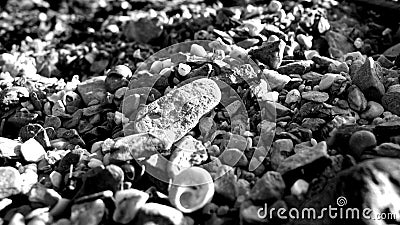 Black and white, stones, pebbles on the beach Stock Photo