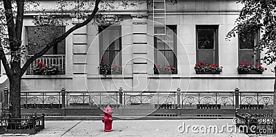 Black and white street scene in New York City with red fire hydrant and flowers in front of an old building Stock Photo