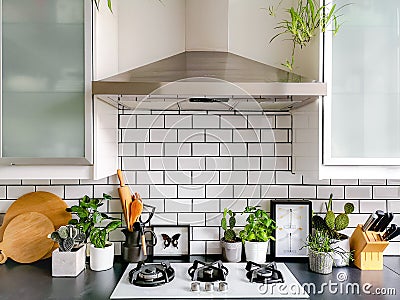 Black and white subway tiled kitchen with numerous plants and framed taxidermy insect art Stock Photo