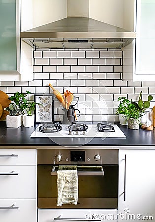 Black and white subway tiled kitchen with numerous plants and framed taxidermy insect art Stock Photo