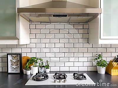 Black and white subway tiled kitchen with numerous plants and framed taxidermy insect art Stock Photo