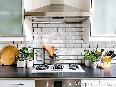 Black and white subway tiled kitchen with numerous plants and framed taxidermy insect art Stock Photo