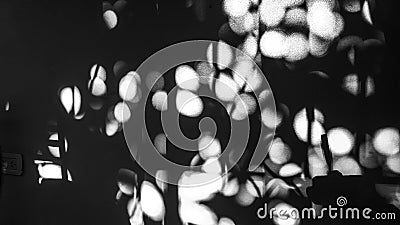 black and white texture with circular figures in soft tones Stock Photo