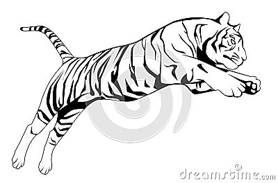 Black And White Tiger Jump Illustration Design Vector Illustration