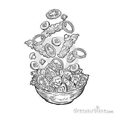 Black and white tossed salad sketch vector illustration. Vector illustration decorative design Vector Illustration