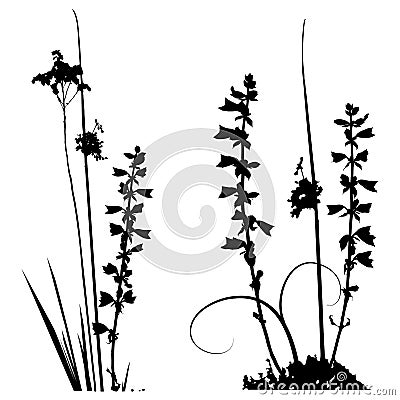 Black and white Traced plants silhouettes collection Vector Illustration