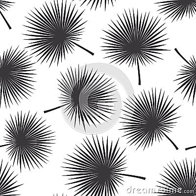 Black and white tropical exotic palm leaf seamless pattern texture Vector Illustration