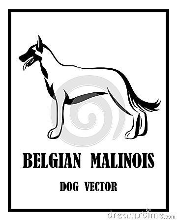Belgian Shepherd Malinois vector dog eps 10 Vector Illustration