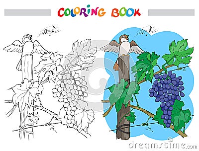 Black and White Vector Cartoon Illustration of Bunch of Grapes with bird for Coloring Book Vector Illustration