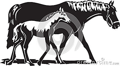 Black and White Horses Mare and Foal Illustration Vector Illustration