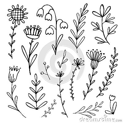 Black and white vector illustration set with simple plants and flower. Vector Illustration