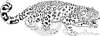 Black and white vector mountains snow leopard Vector Illustration