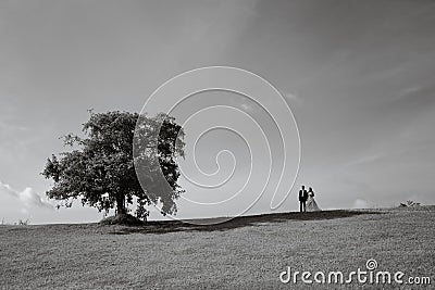 two people standing near a tree Stock Photo