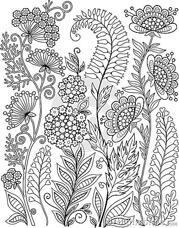 Black-and-white Wildflowers isolated on white. Abstract doodle background made of flowers and butterfly. Vector coloring page Vector Illustration