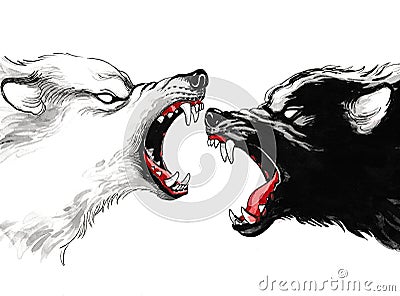 Black and white wolves Cartoon Illustration